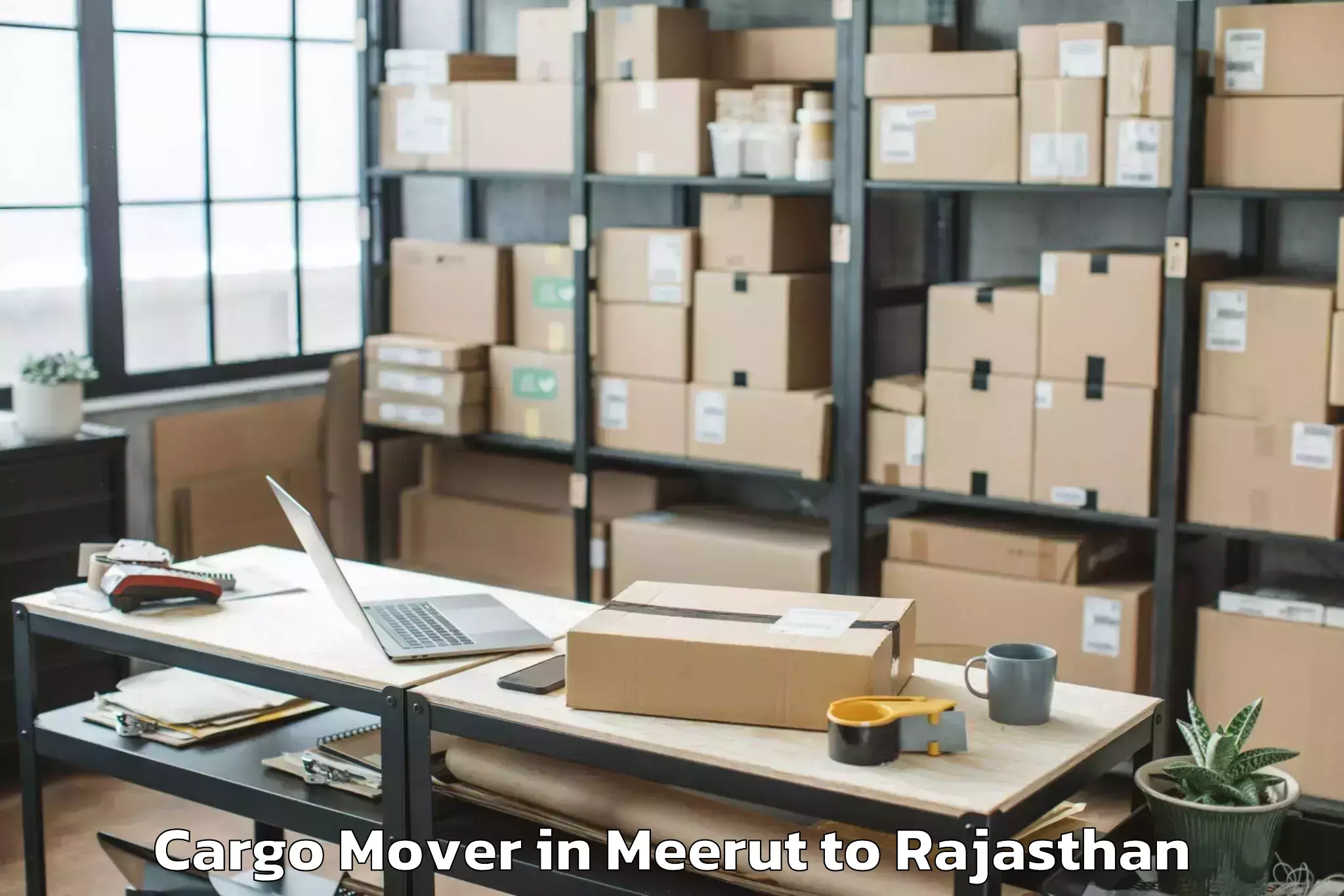 Quality Meerut to Kotputli Cargo Mover